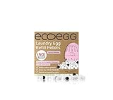 Ecoegg Wäsche-Nachfüllpellets | Umweltfreundliche Alternative zu Waschmittel und Stoff Conditioner | Frühlingsblüten | 50 Waschungen
