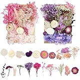 2 Boxen Trockenblumen, Trockenblumen Zum Basteln, Rosa Lila DIY Getrocknete Blumen, Echte Natürliche Trockenblumen, für Kunst DIY Harz Scrapbooking Handwerk Karten Machen tischdeko gesteck